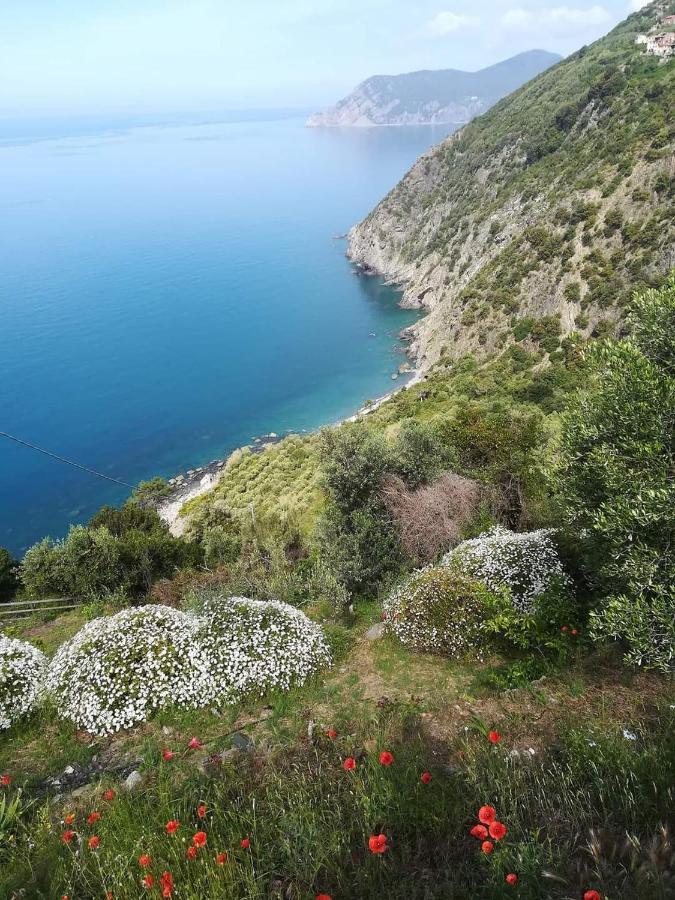 La Ginestra Hotell Corniglia Exteriör bild