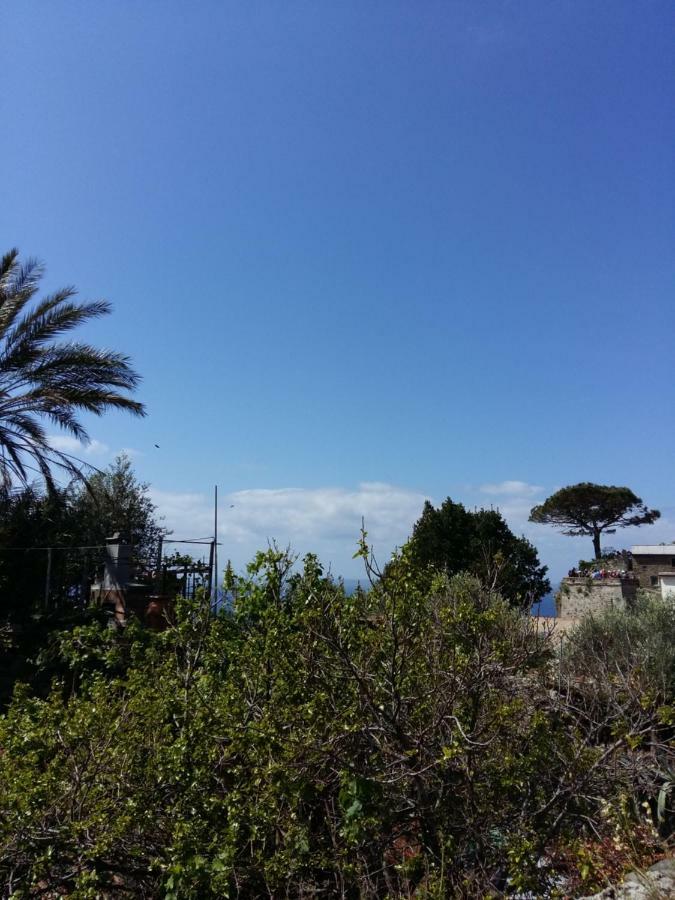 La Ginestra Hotell Corniglia Exteriör bild